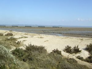 Photo 2- click for photo gallery